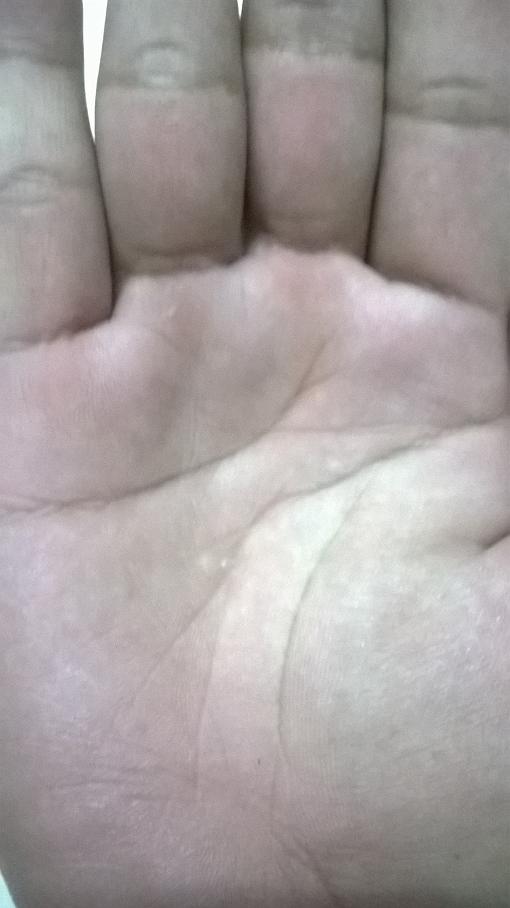 WP_20150401_016.jpg