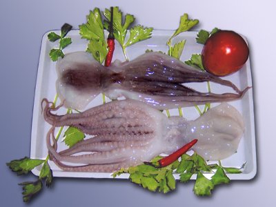 bach_tuoc1.jpg