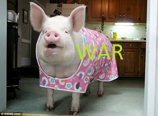 unnamed (7)222222.jpg