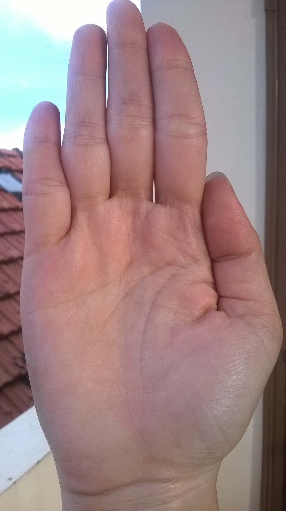 WP_20150805_033.jpg