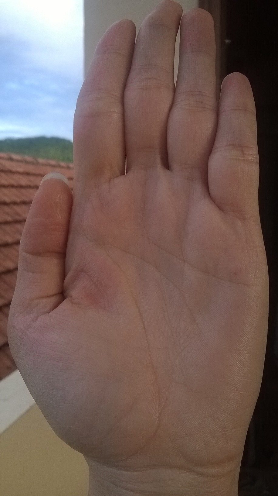 WP_20150805_038.jpg