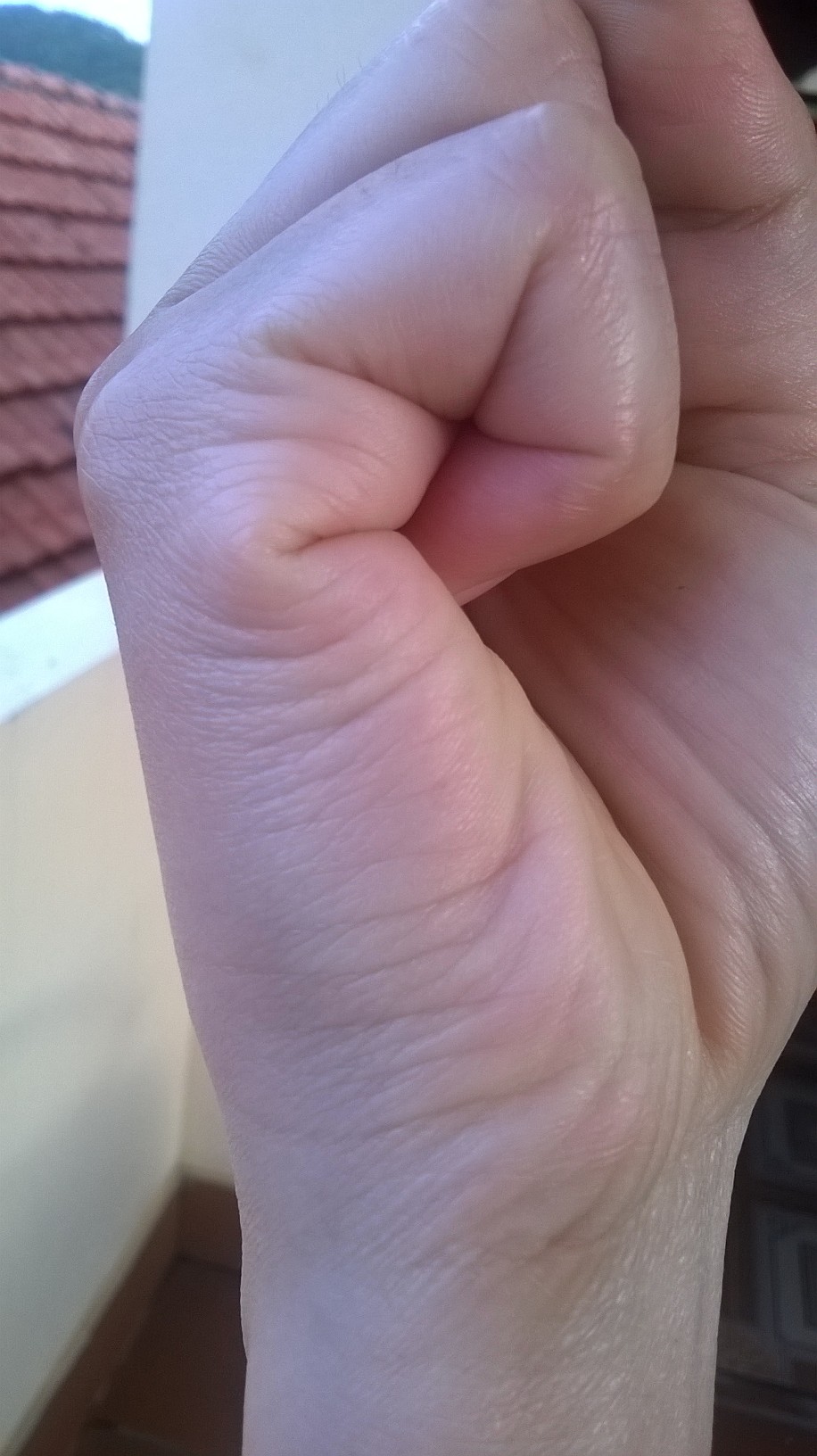 WP_20150805_035.jpg