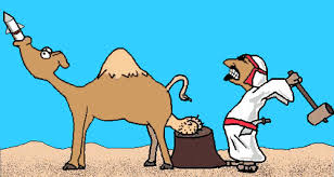 đập !!!!!!!!!!!!!!!!!!!!!!!!!!!!!.jpg