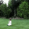 bà già sút ba by.gif