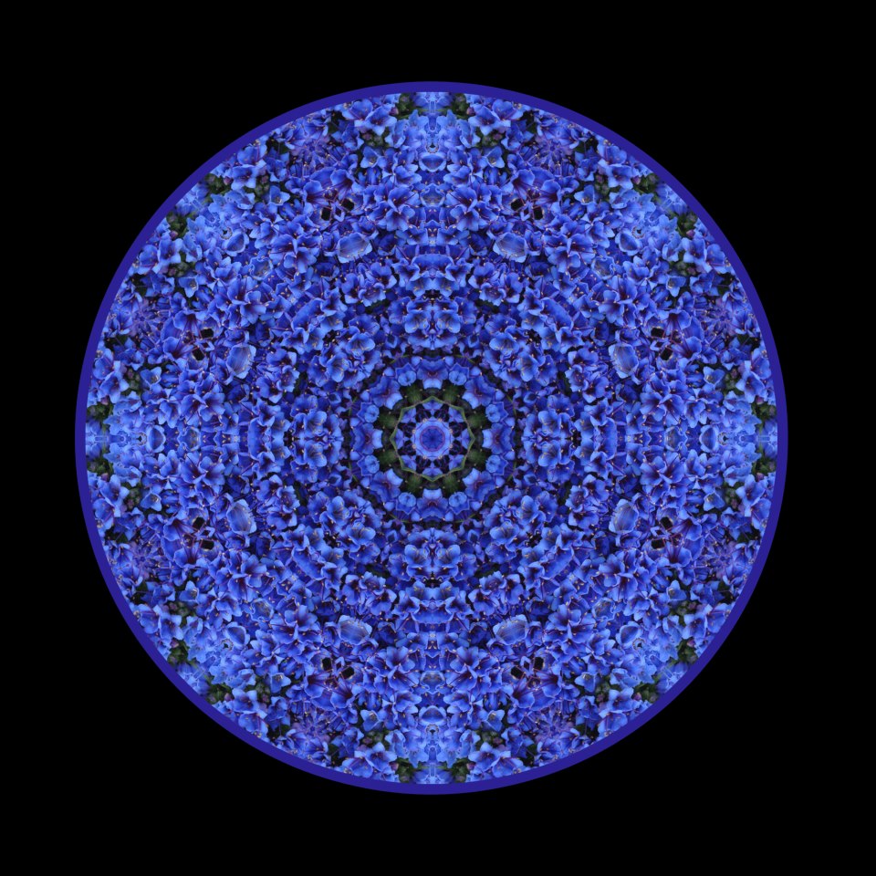 64167_124145397771827_242813042_n.jpg