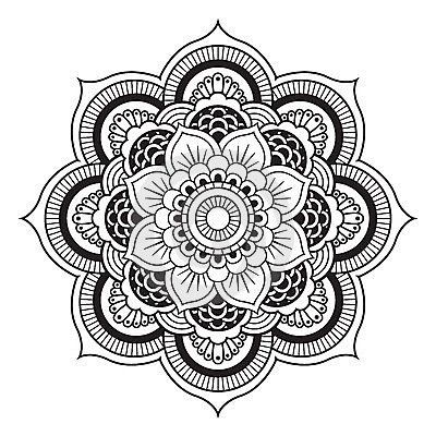 527669_124475154405518_1433355680_n.jpg