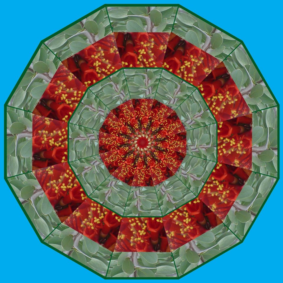 422842_126749667511400_740322042_n.jpg