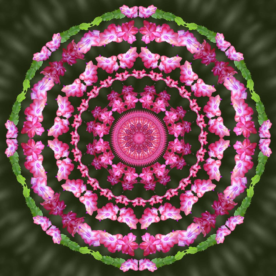 531550_126748670844833_105225288_n.jpg