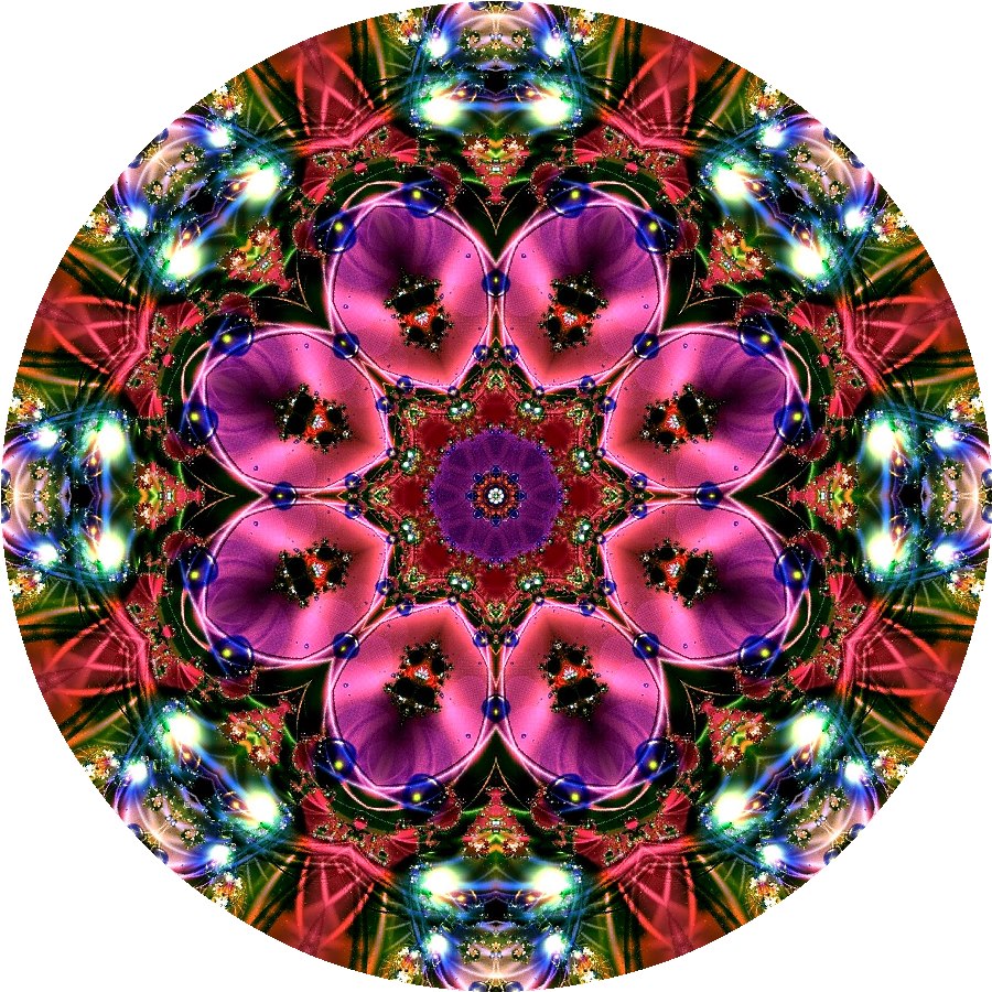 531701_126731524179881_1241872199_n.jpg