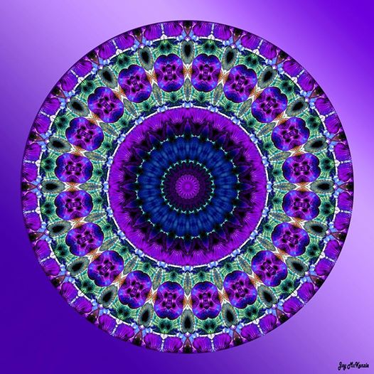 543872_130239337162433_1643352865_n.jpg