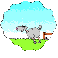 vượt rào.gif