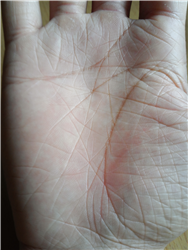 c53d8508-9cb2-4856-8e98-f302fe1fa5a2.png