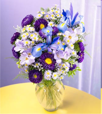 To: Thầy Tuệ!