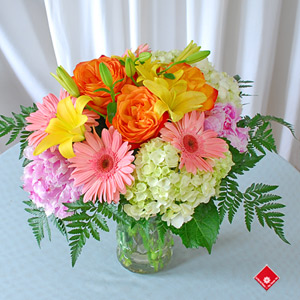 To: Cô Trahong