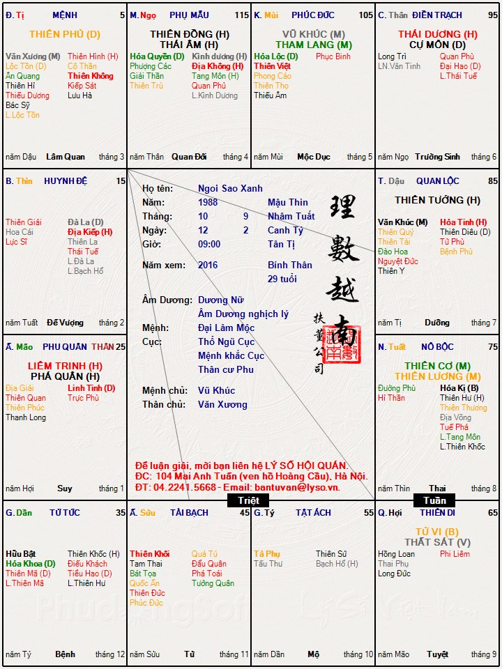 Ngoi Sao Xanh _ LySo.jpg