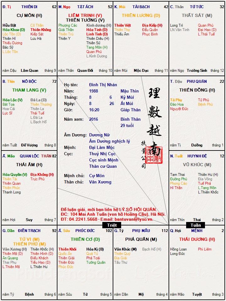 Đinh Thị Nhàn.jpg