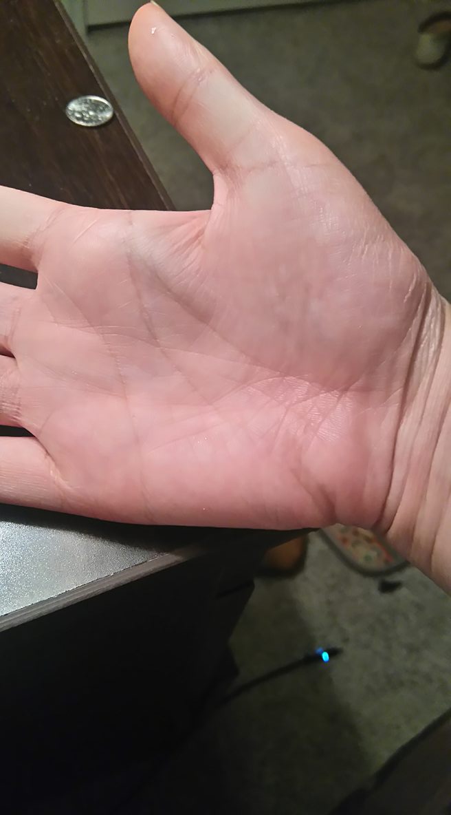 13397039_1239196496093223_1878538208_o.jpg