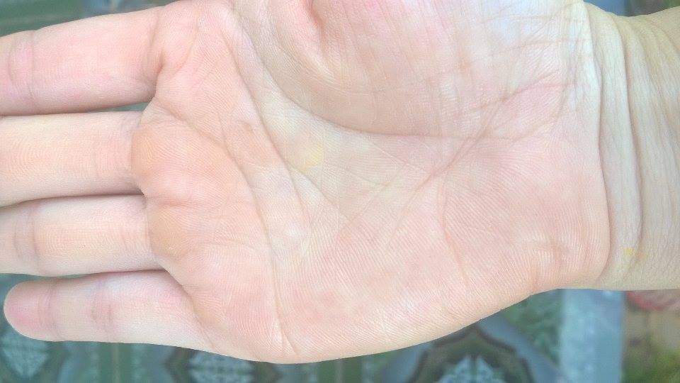 13551048_1085369271531802_2128207910_n.jpg