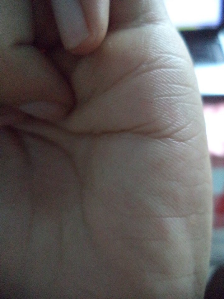 13876499_517751011762662_2831235372767632661_n.jpg