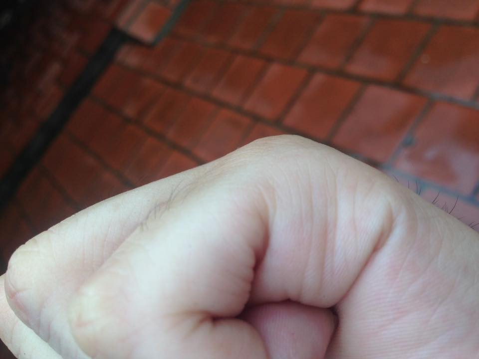 13906867_877790205686257_5045696838698560470_n.jpg