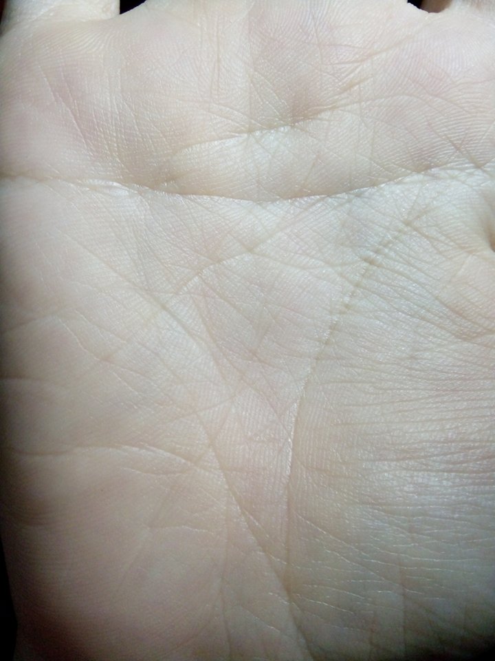 14875360_1724721227851018_107287474_n.jpg