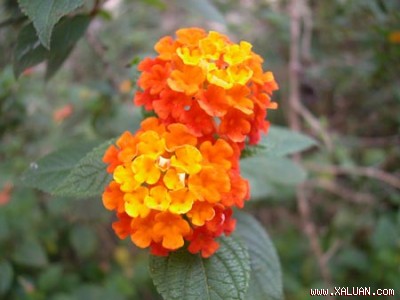 1272797390_img.jpg