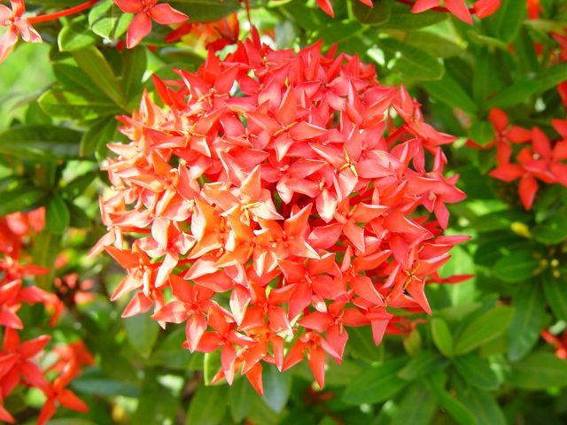 32420862_DSC00450.jpg