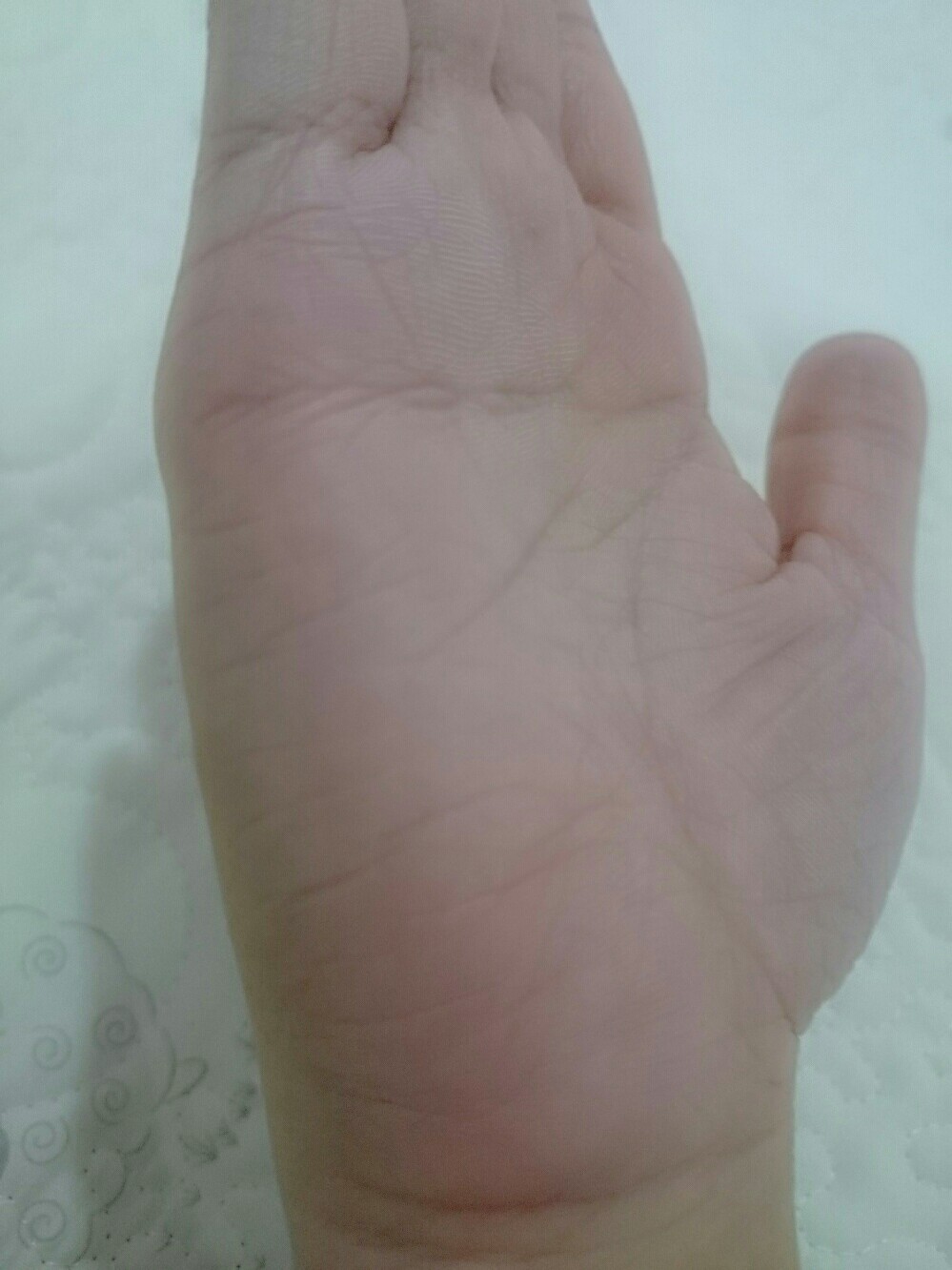 1483632494146-1163153841.jpg