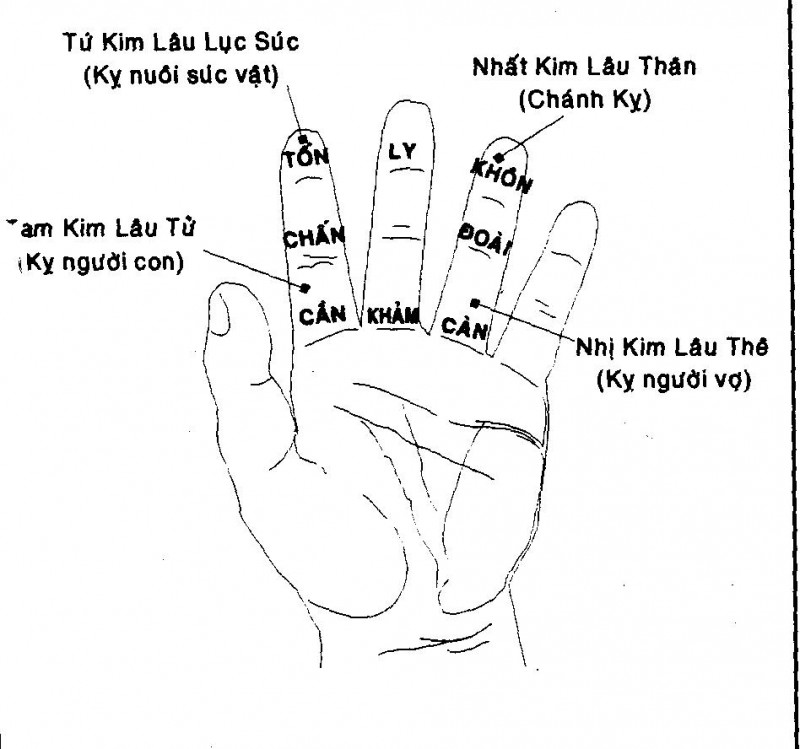 scan 3.JPG