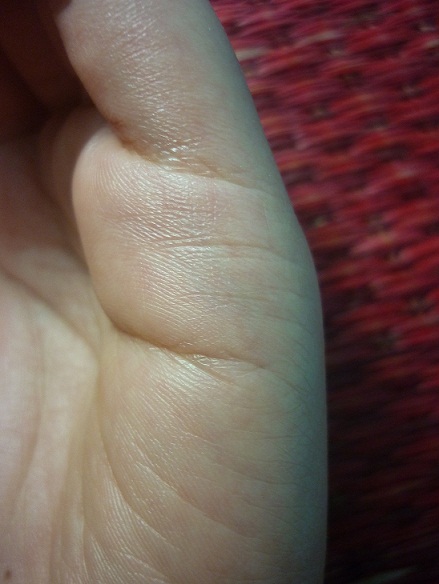 P1020414.JPG