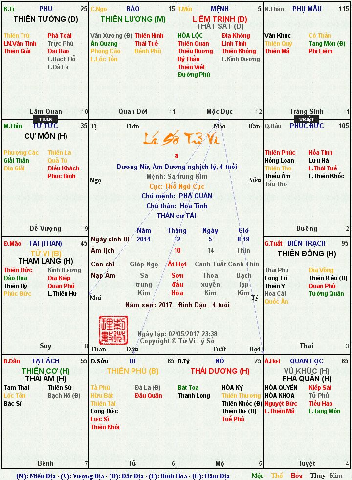 lá số tử vi ngân khánh.jpg