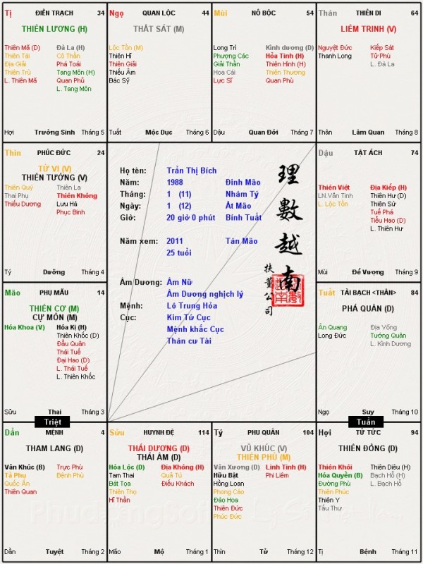 Trần Thị Bích.jpg