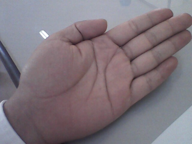 IMG0019A.jpg