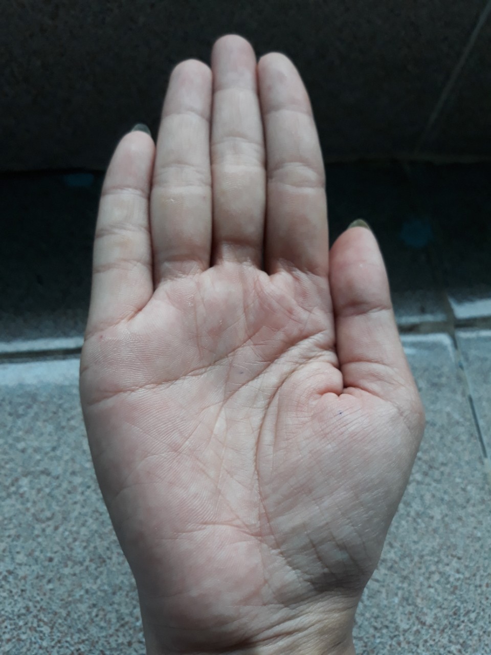 z749303989947_e91fe47b0dbe10fdddb12cf5d2a48924.jpg