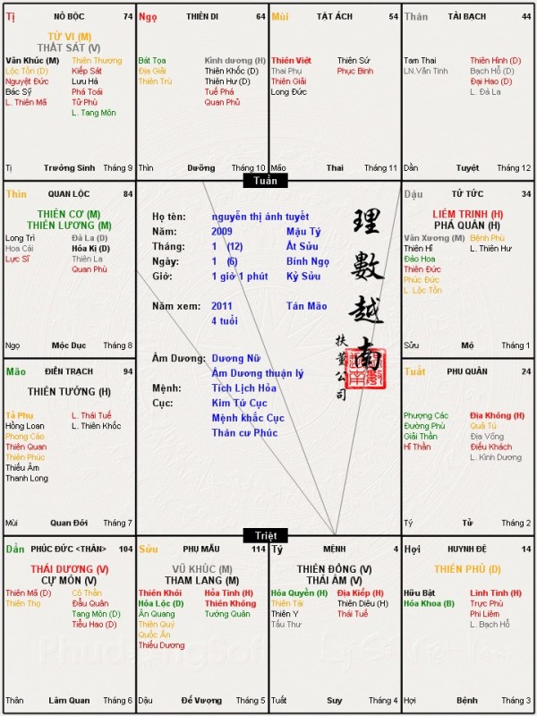 nguyễn thị ánh tuyết.jpg