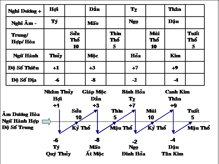 - am duong ngu hanh do so cua 12 dia chi.png