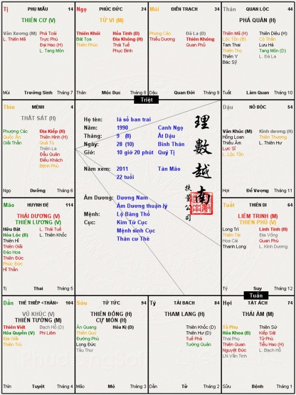 lá số ban trai.jpg