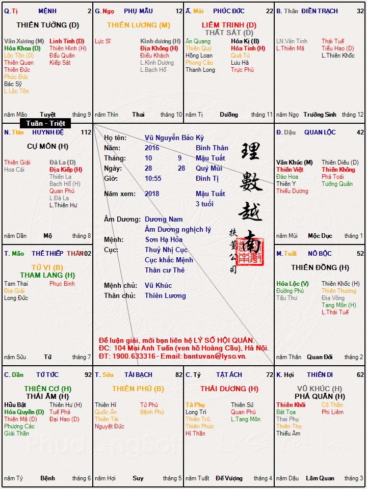 Vũ Nguyễn Bảo Kỳ.jpg