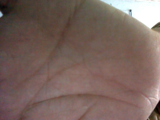 Snapshot_20110313_11.JPG
