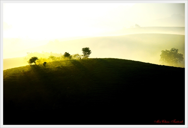 DSC_0240_1.jpg