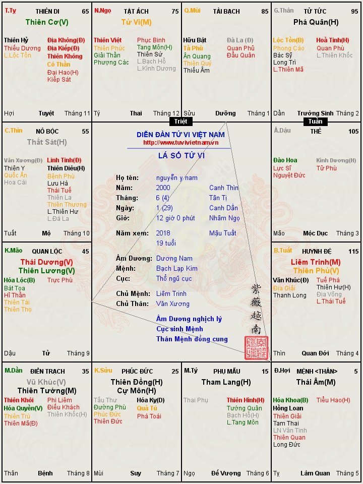 nguyễn_y_nam_2018_80f02868 (1).jpg