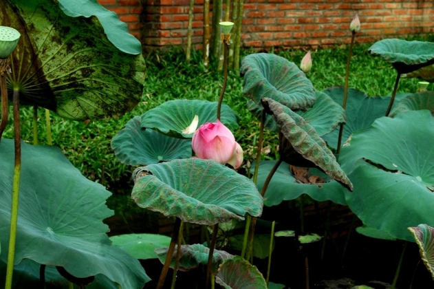 DSC_1792.JPG