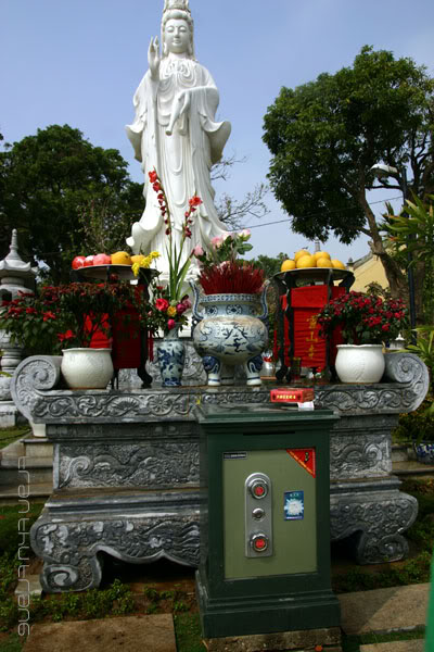 IMG_0510ccopy.jpg