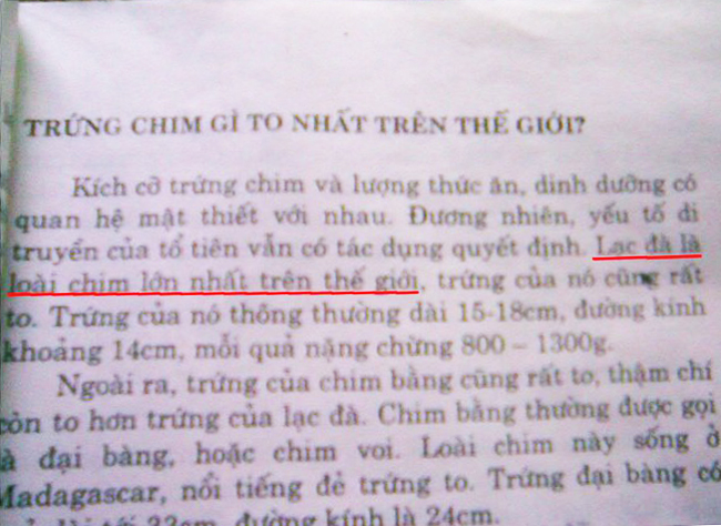 1288089283-dac-san-tieng-viet-24H-com-vn-lac-da-la-loai-chim-lon-nhat-the-gioi.jpg
