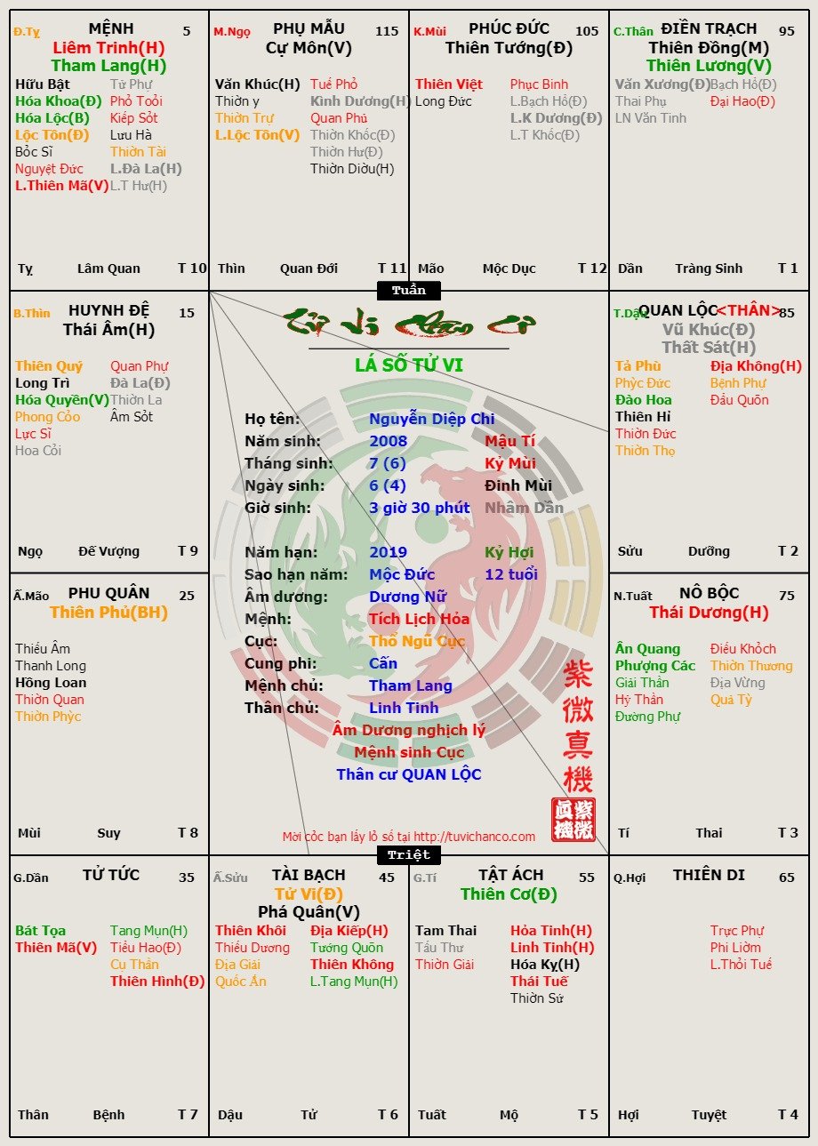 Nguyễn Diệp Chi.jpg