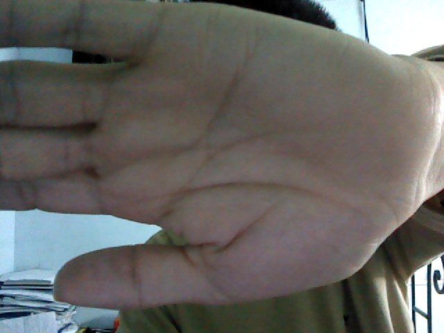 Snapshot_20110313_7.JPG