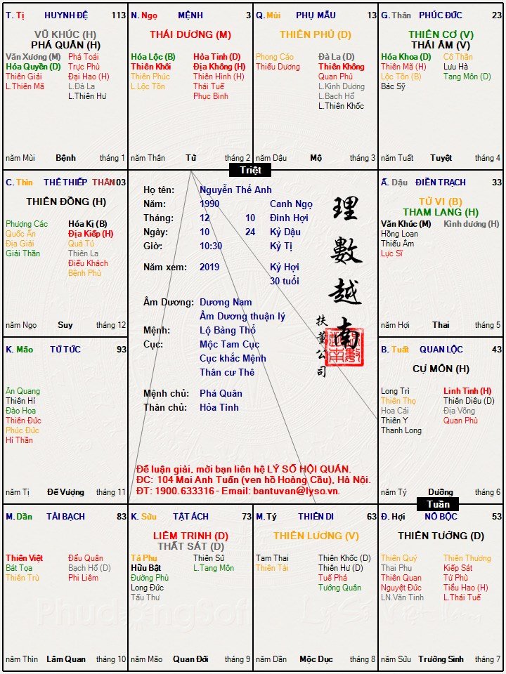 Nguyễn Thế Anh.jpg