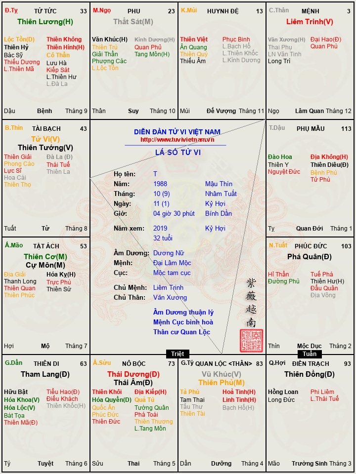 Đây là lá số giờ sinh của em ah