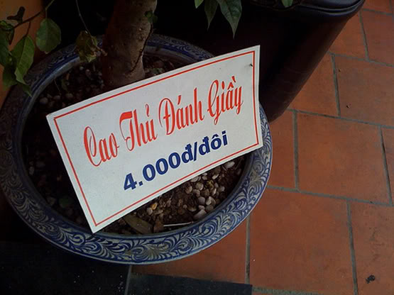 danhgiay.jpg