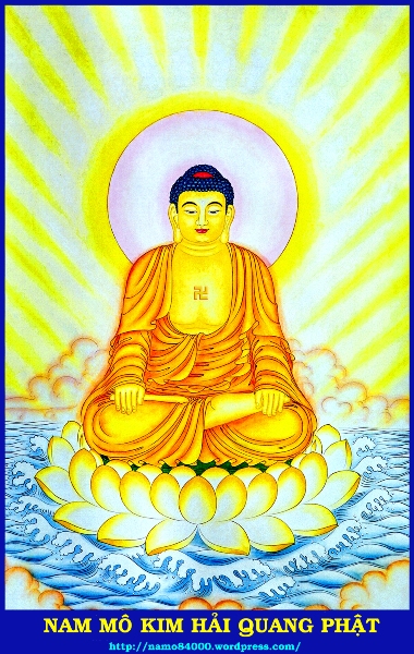 namo84000wordpresscom49-1.jpg